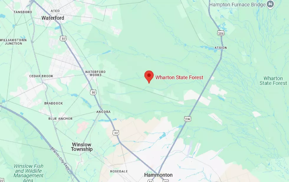 Google Maps