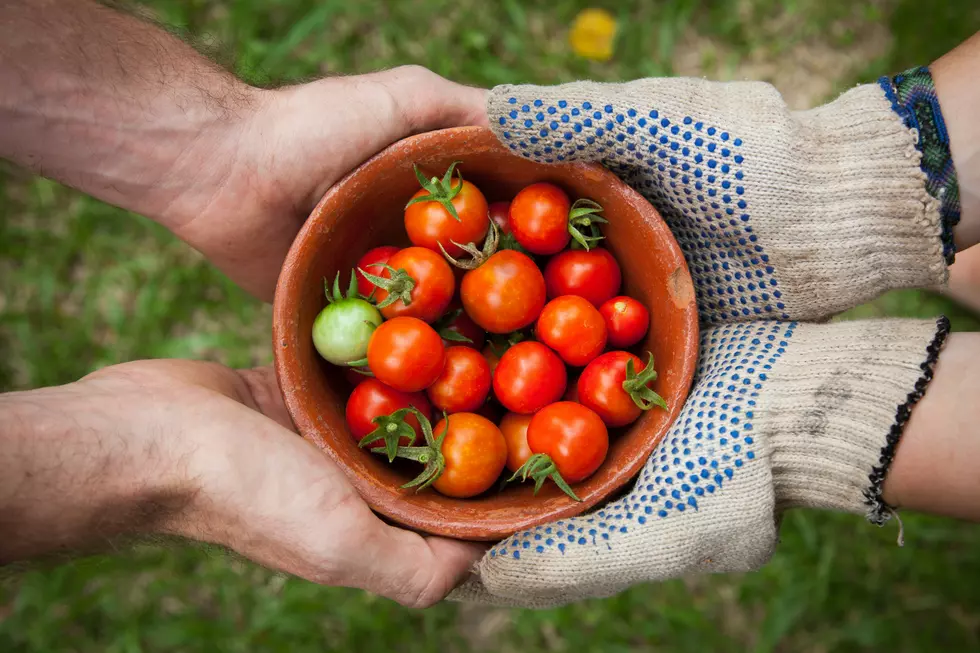 The 10 Best Fruits And Veggies In All Of New Jersey