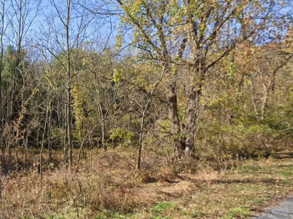 Witness Spots Bigfoot Just Miles From Penn State University
