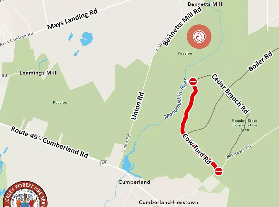 Vineland Forest Fire Closes Cow Turd Road