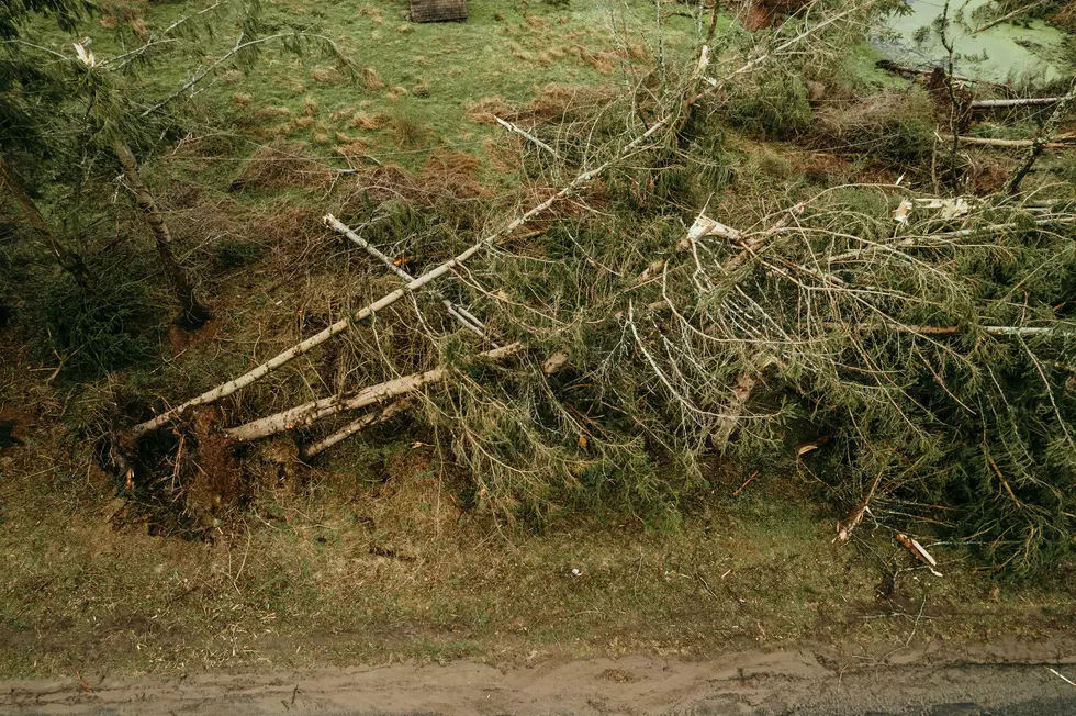 Crazy Thunderstorm Damage in South Jersey