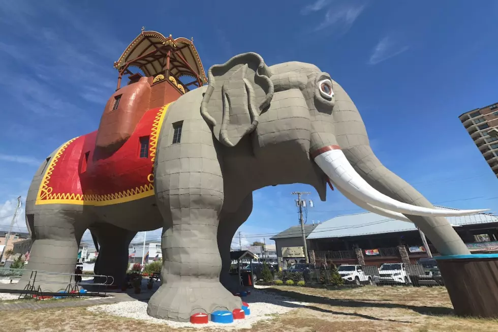 Lucy the Elephant Lands on National TV!