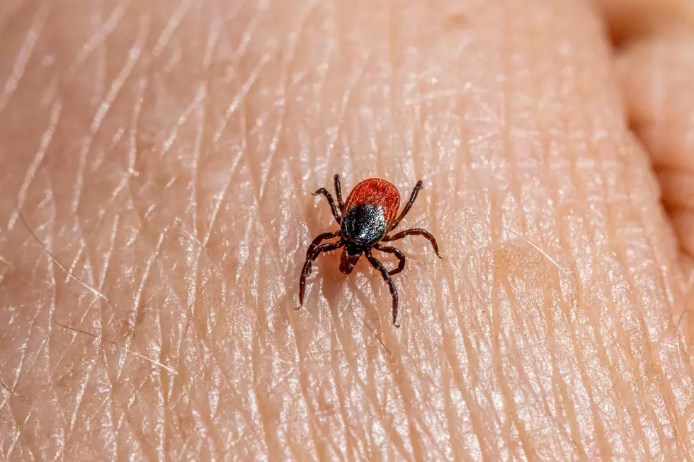 NJ Fighting Back Against Ticks With Help From Rutgers Science Project