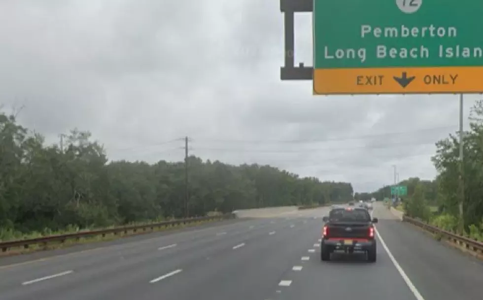 Driver Spots Possible Mountain Lion While on Garden State Parkway