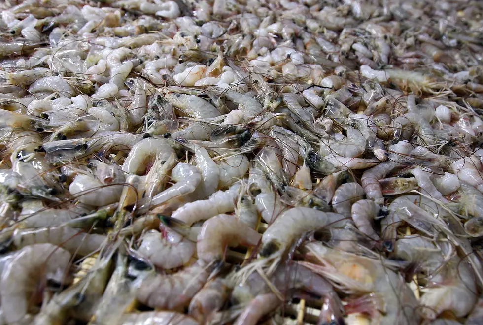 Don’t Eat Radioactive Shrimp Purchased at Walmart