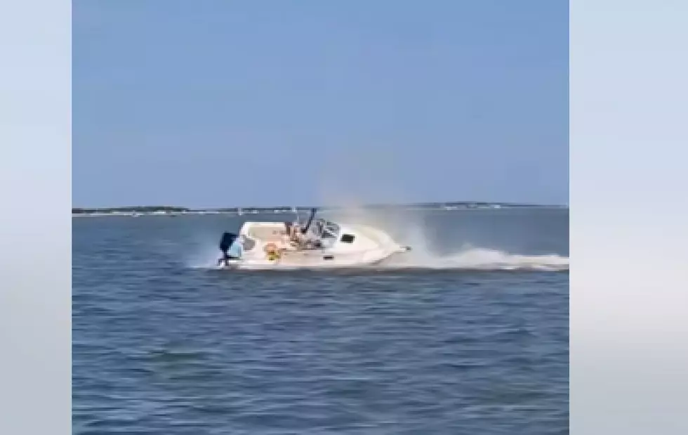 Watch Whale Knock Person Into Water In Barnegat Bay