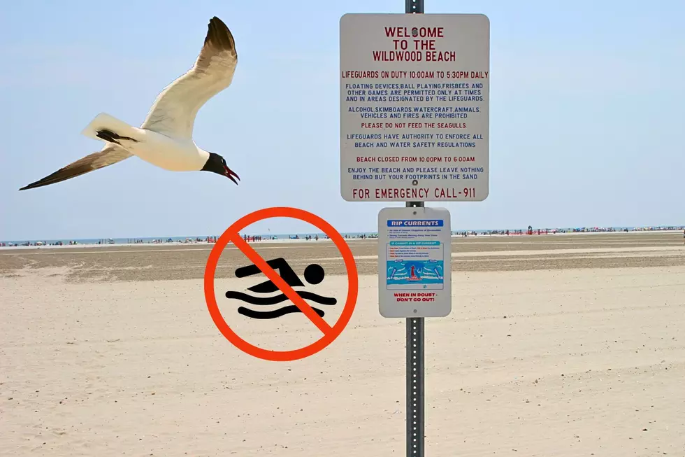 Wildwood Police And Beach Patrol Ban Swimming During Hurricane Erin