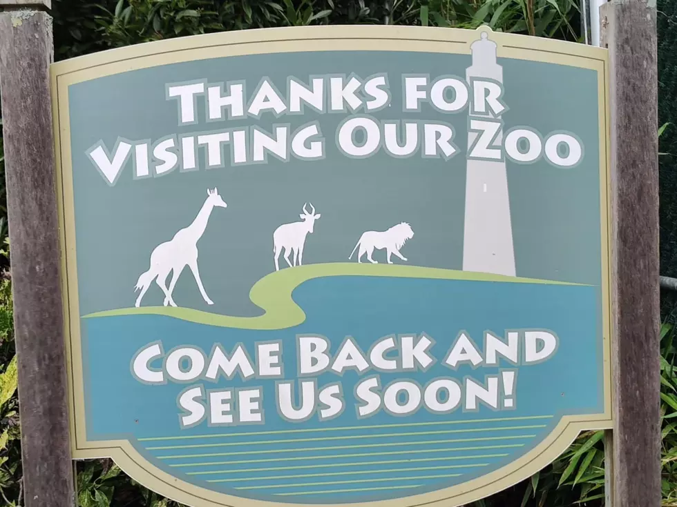 Here’s How You Can Help The Animals Right Now At The Cape May Zoo