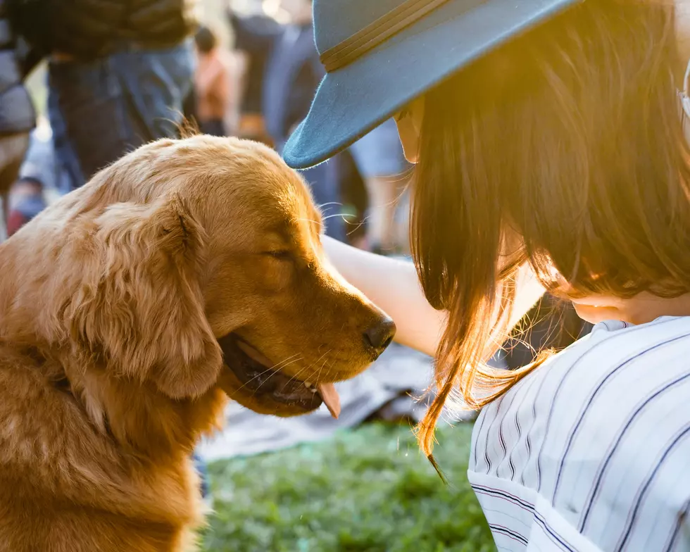 Lucky’s Bed & Biscuit celebrates their 17th Anniversary