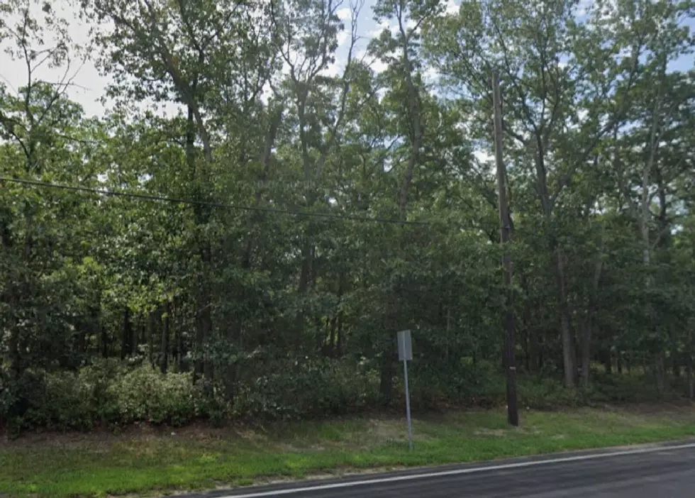 Motorist Reports Seeing Mountain Lion Near College in Toms River