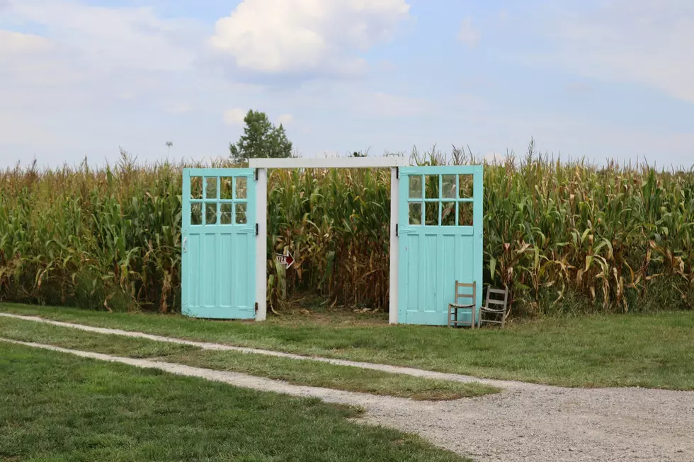 Great Corn Mazes Within an Hour Drive of Atlantic City