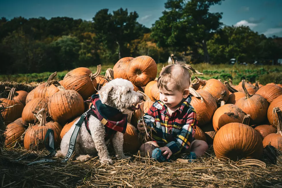 The Most Popular Fall-Themed Baby Names Revealed
