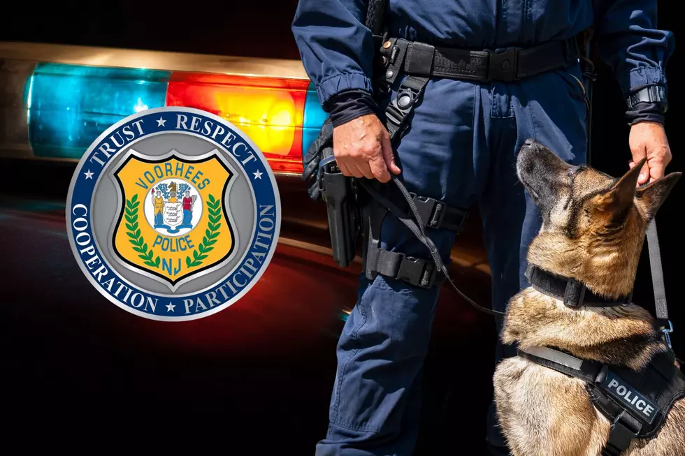 11 Years Of Service: Voorhees, NJ, Police Announce The Passing Of K-9 Ruck