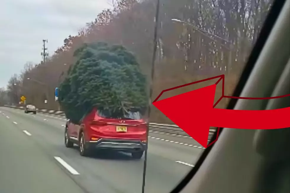 Oversized Christmas Tree Proves Why NJ Residents Can’t Have Anything Nice