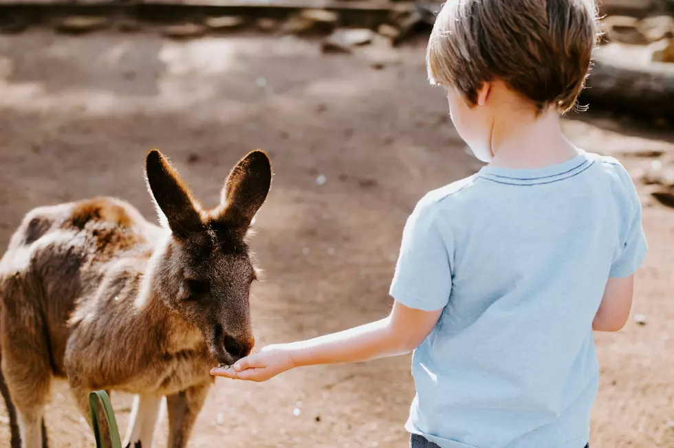 Kid-Friendly Winter Fun: Sign Them Up For Jr. Zookeeper Camp At The Cape May Zoo
