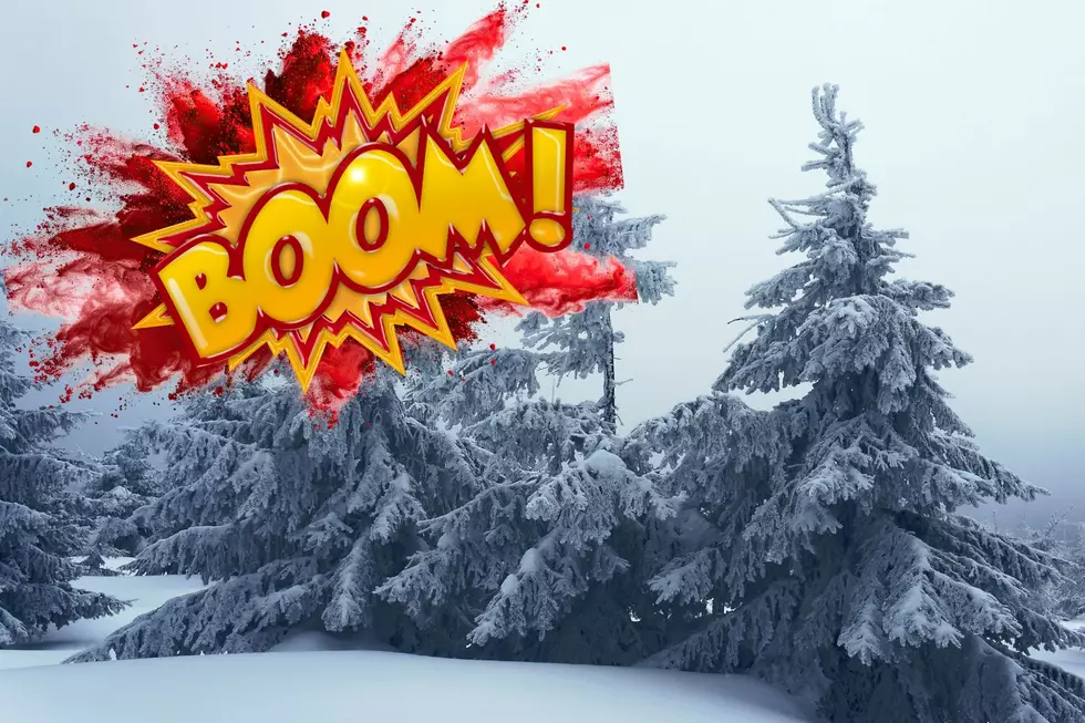 More Snow Is Coming, Beware Of The “Exploding Trees” In New Jersey