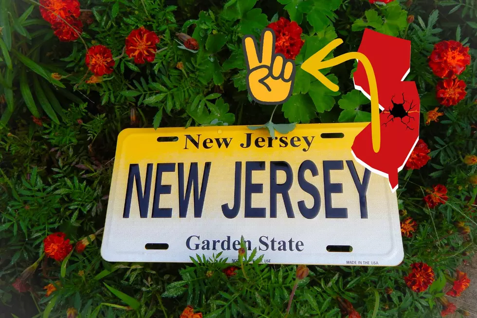 Does South Jersey Want To Become Its Own State Yet Again?