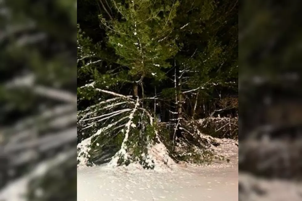 Winter Storm Hernando Leaves South Jersey A Complete Mess