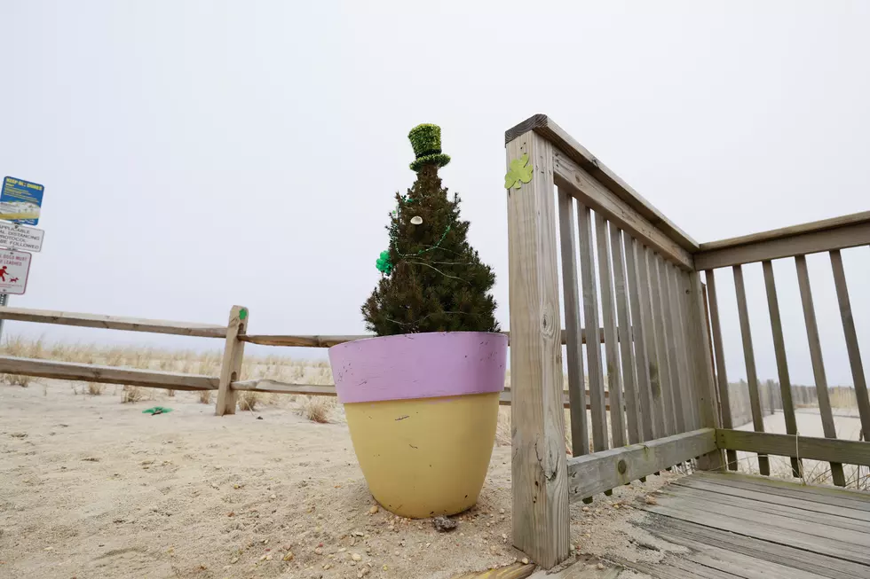 10 Totally New Jersey Things Only Locals Truly Understand