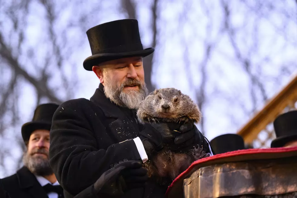 Punxsutawney Phil Says 6 More Weeks Of Winter, But Is That True In NJ?