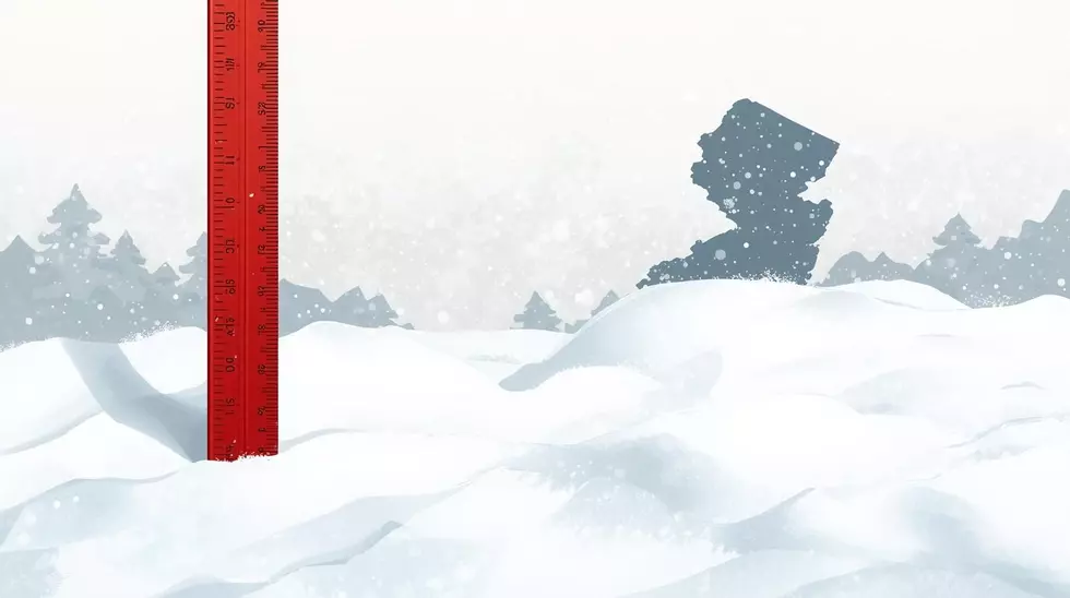 Latest Snowfall Totals From South Jersey Blizzard