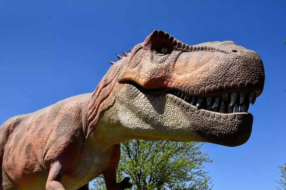 This Life-Size Dinosaur Experience Near South Jersey Has Kids Completely Obsessed