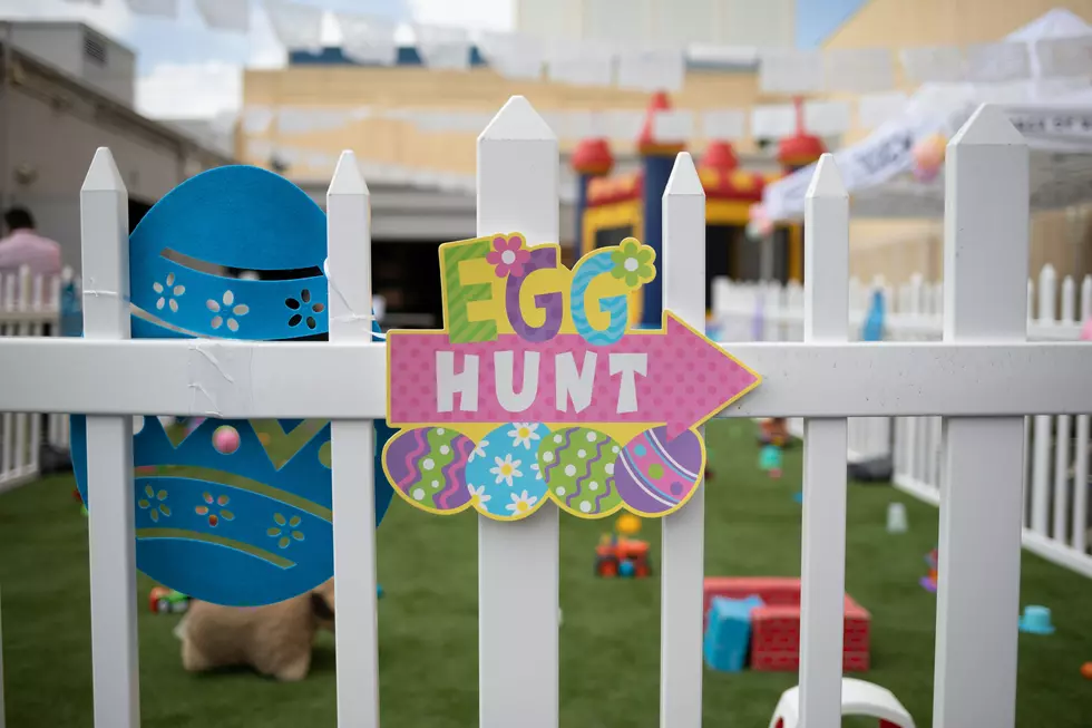 Free Easter Egg Hunt In Atlantic City (Don’t Miss This)