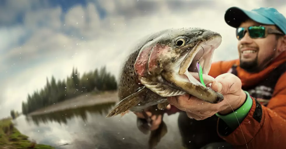 The 29 Best Places To Fish For Trout In South Jersey On Opening Day