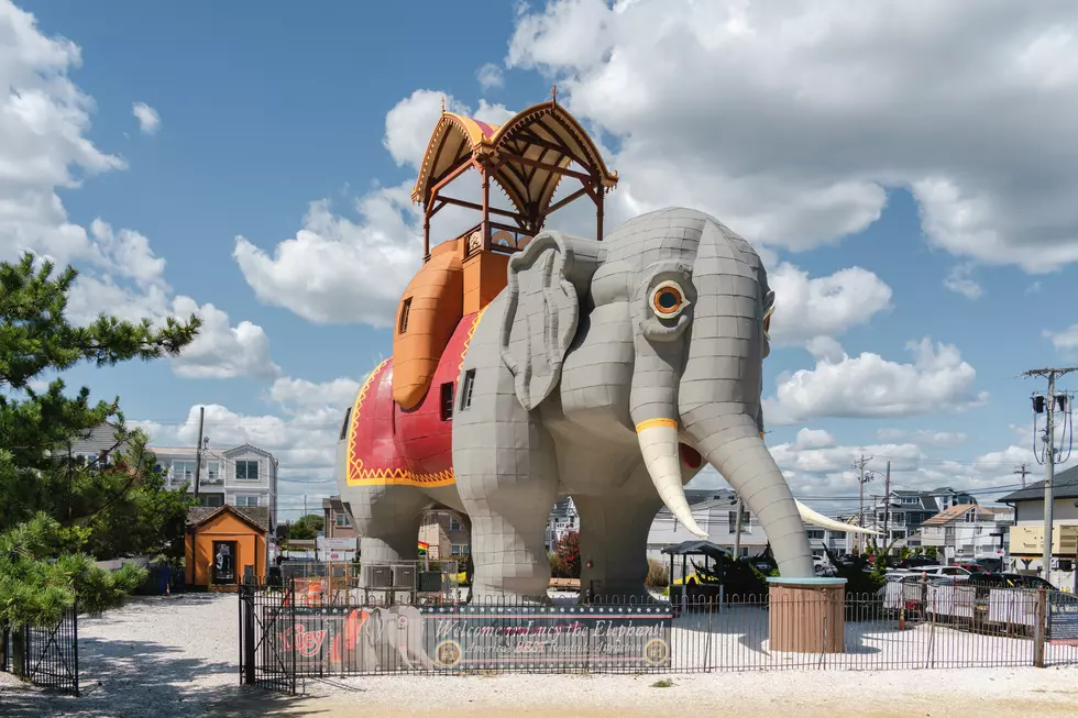 Recent Reviews of Lucy the Elephant That Will Warm Your Heart