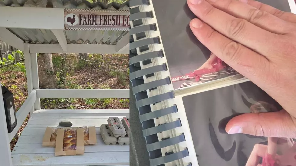 Mystery: Sexy Photo Album Left at Mullica Township Farm Stand