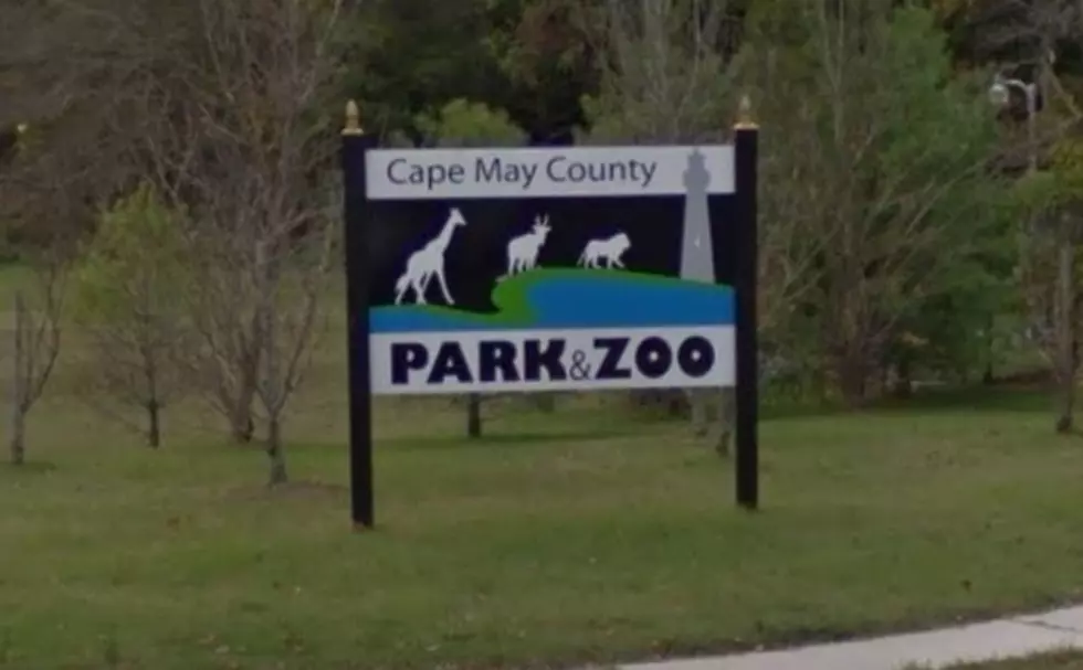 Thousands Turned Away From Cape May Zoo Saturday