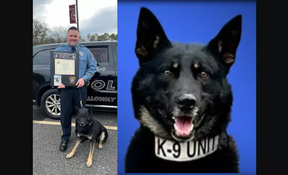 Galloway Twp Police K-9 Come Through With Big Drug Bust