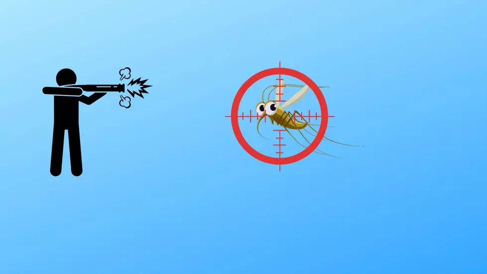 Win the War Against New Jersey Gnats