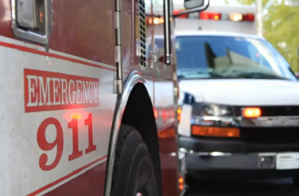 Poison Leads to Death of Man, Two Pets in Hamilton Twp. [VIDEO]