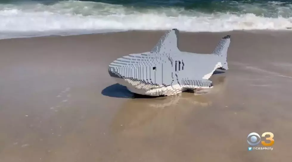 Help Adventure Aquarium in Camden Name Their New LEGO Shark!