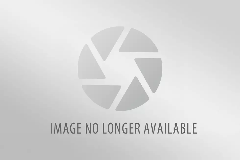 Gloucester County, NJ Man Accused of Stealing More Than $800 in Harry Potter Merch in Orlando, FL