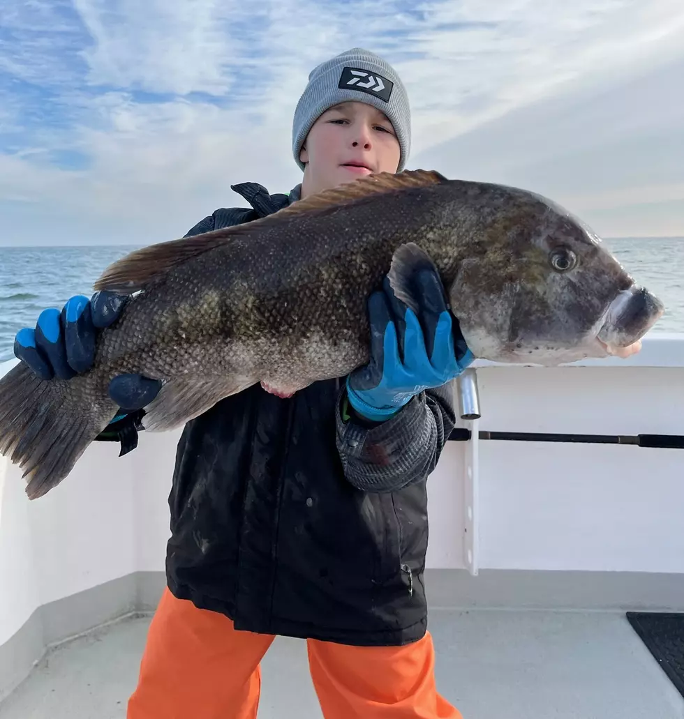 Ferocious Tog Bite To Close Out The Season