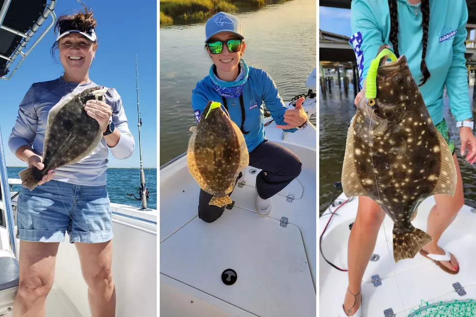 Early Season Fluke Action Picking Up
