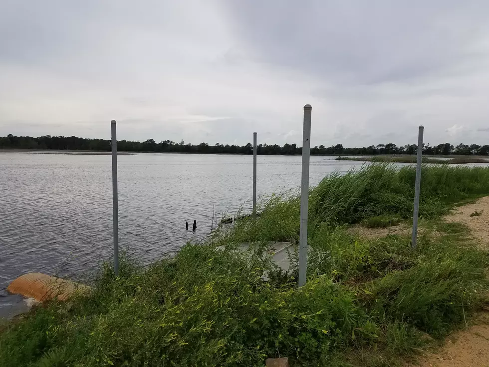 State Officials Need Help Finding a Corbin City Fence Bandit