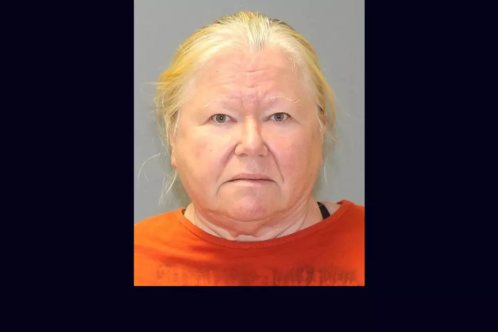 Burlington County, NJ, Woman Gets Jail Time for Death of Six Dogs