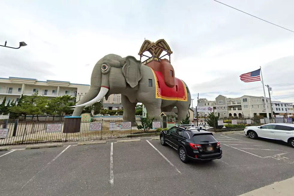 Lucy The Elephant To Undergo Epic ADA-Compliant Makeover