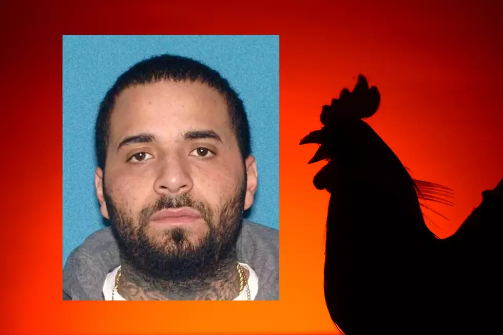 Egg Harbor City, NJ, homeowner ordered detained in cockfighting case