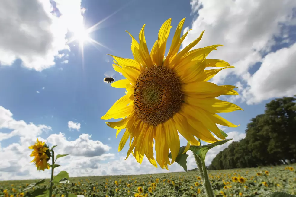 7 Reasons Why Daylight Saving Time Should be Made Permanent