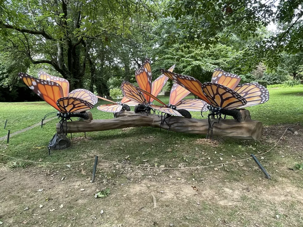 Philadelphia Zoo