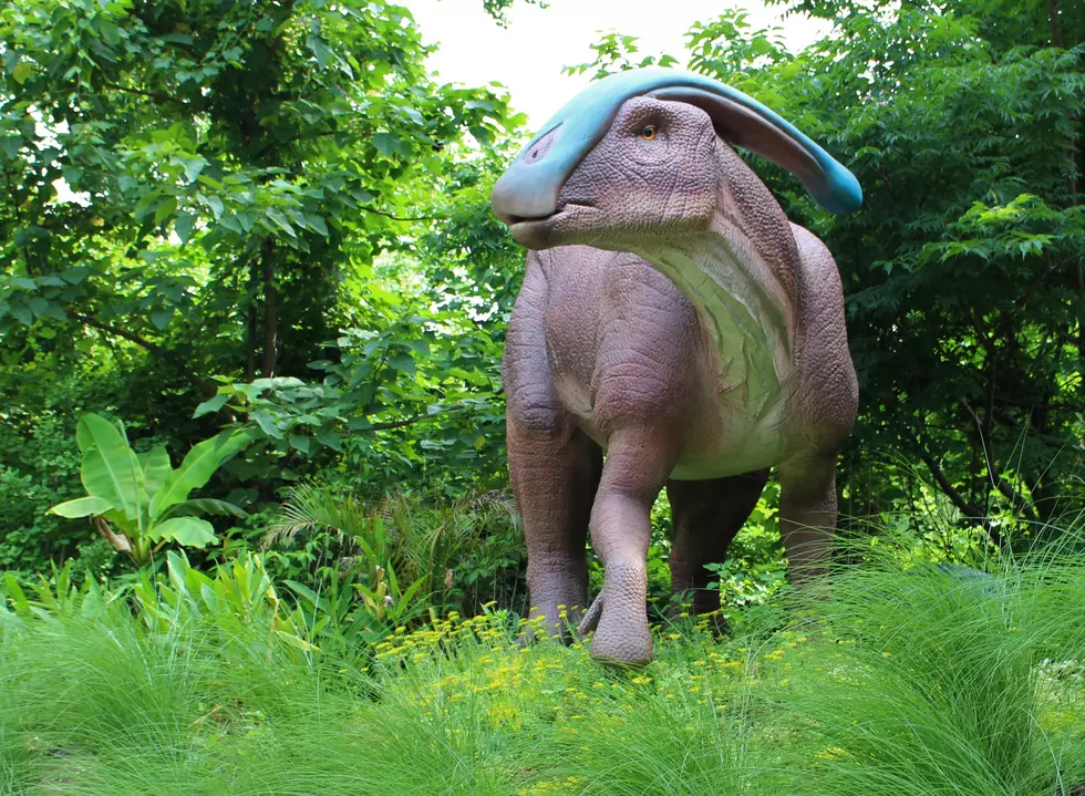 Philadelphia Zoo