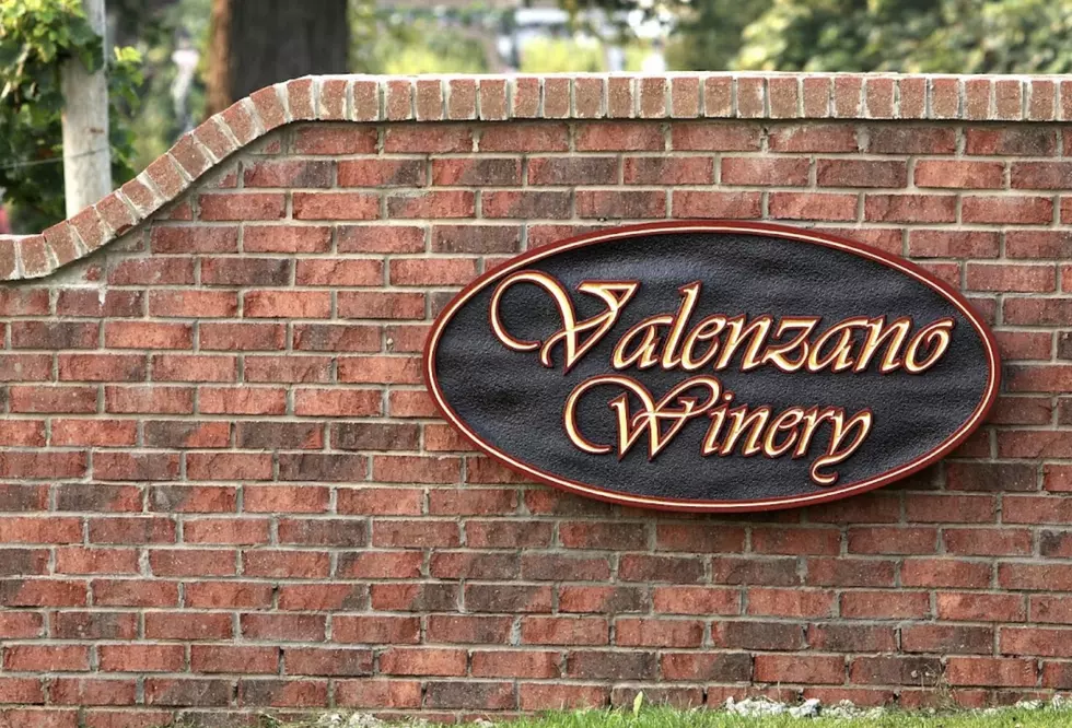 A Wine Lover’s Dream! Valenzano Winery’s WineFestNJ Is Back For 2023